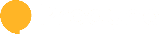 Prodyna